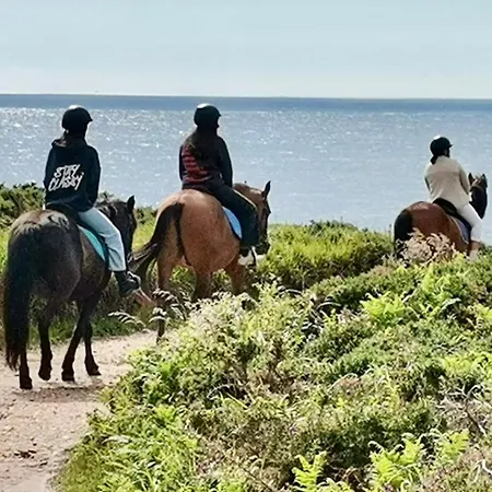 Alegre Y Acogedor Piso Centrico En Apartment
