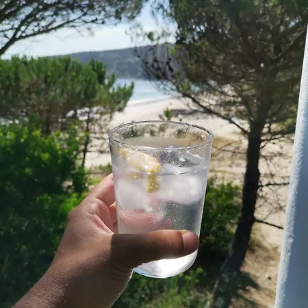 Alegre Y Acogedor Piso Centrico En Apartment *