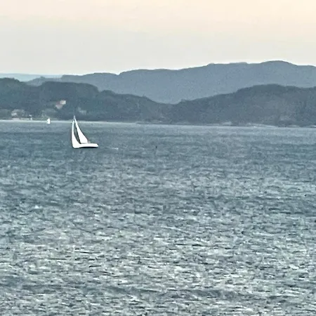 Apartment Alegre Y Acogedor Piso Centrico En *